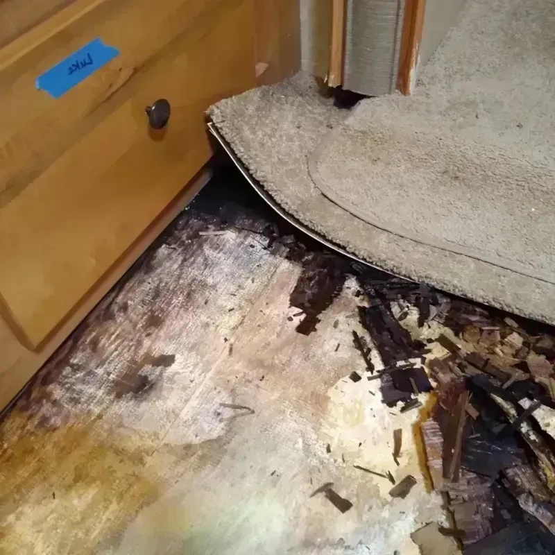 Best Wood Floor Water Damage Service in Talbotton, GA